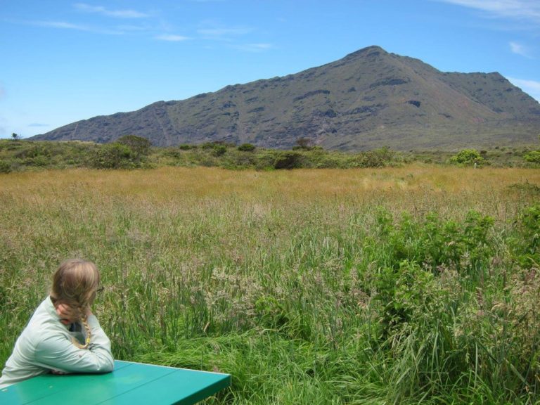 Kelly Fisher looking at a mountain at Paliku Cabin