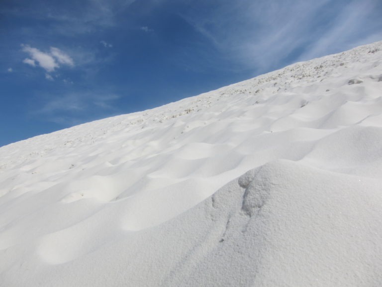 closeup of a sand dune