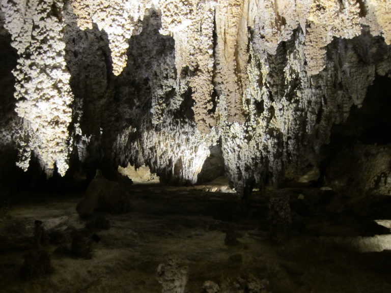 stalactites at Carlsbad Caverns
