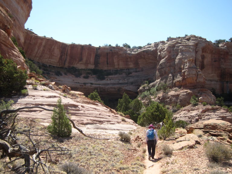 Kelly Fisher on the Neck Spring Trail beneath the canyon rim