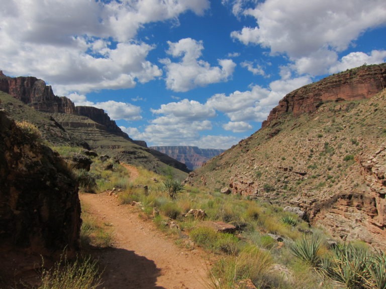 the North Kaibab Trail at midday heading through the canyon