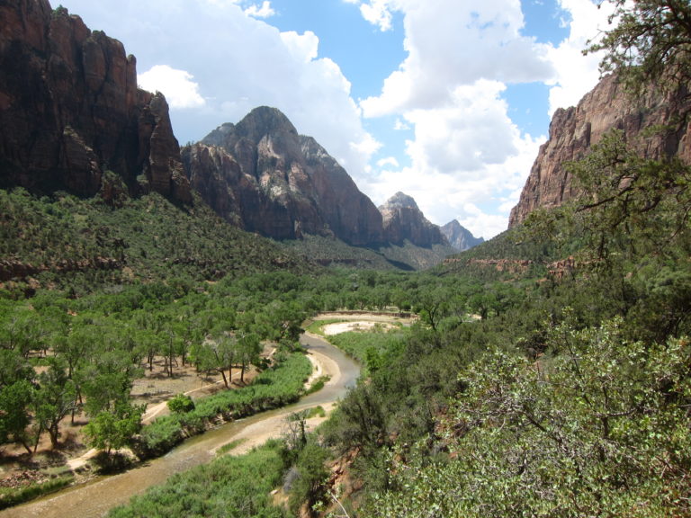 panoramic picture of the Virgin River in Zion National Park