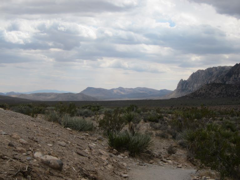 picture of a gray hiking trail turning right in a desert landscape with small shrubs and mountains in the distance