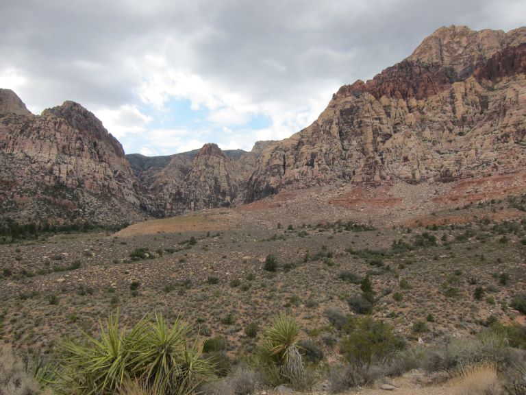 red and brown rocks canyon walls with many green bushes in the foreground