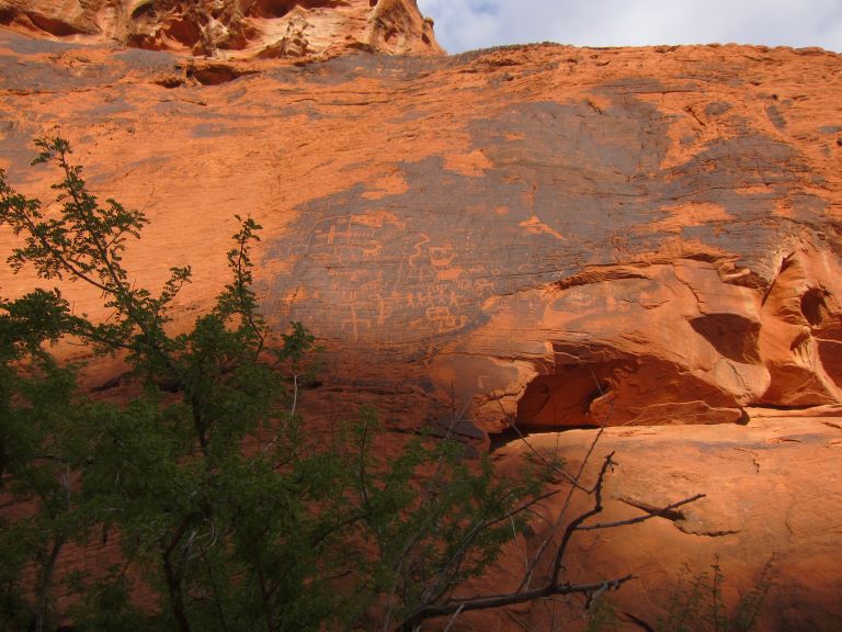 bright orange cliffside with tiny petroglyphs carved into a dark blackish surface with a green tree in the foreground